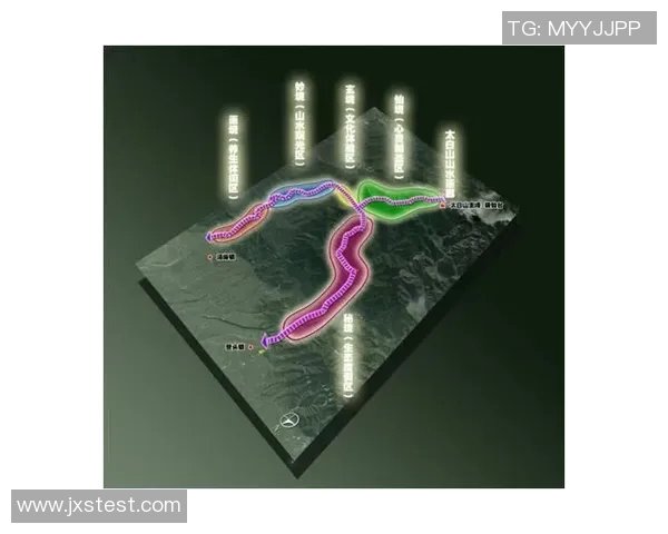 重庆网球队的转型升级之路探索与展望