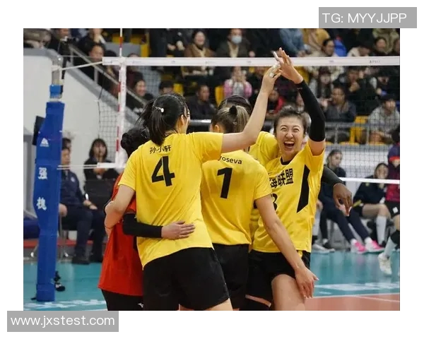 全国女排联赛精彩对决山东女排迎战天津女排争夺冠军荣耀
