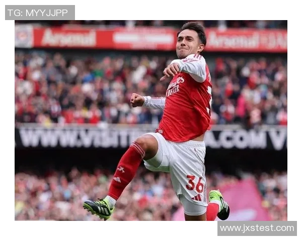 裁判承认误判致阿森纳进球无效赛后深表歉意