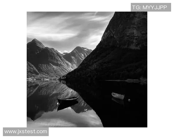 亚当斯的传奇人生与影响力探讨：从历史到现代的深刻启示